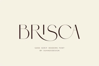 Brisca Font for Creative Design Projects